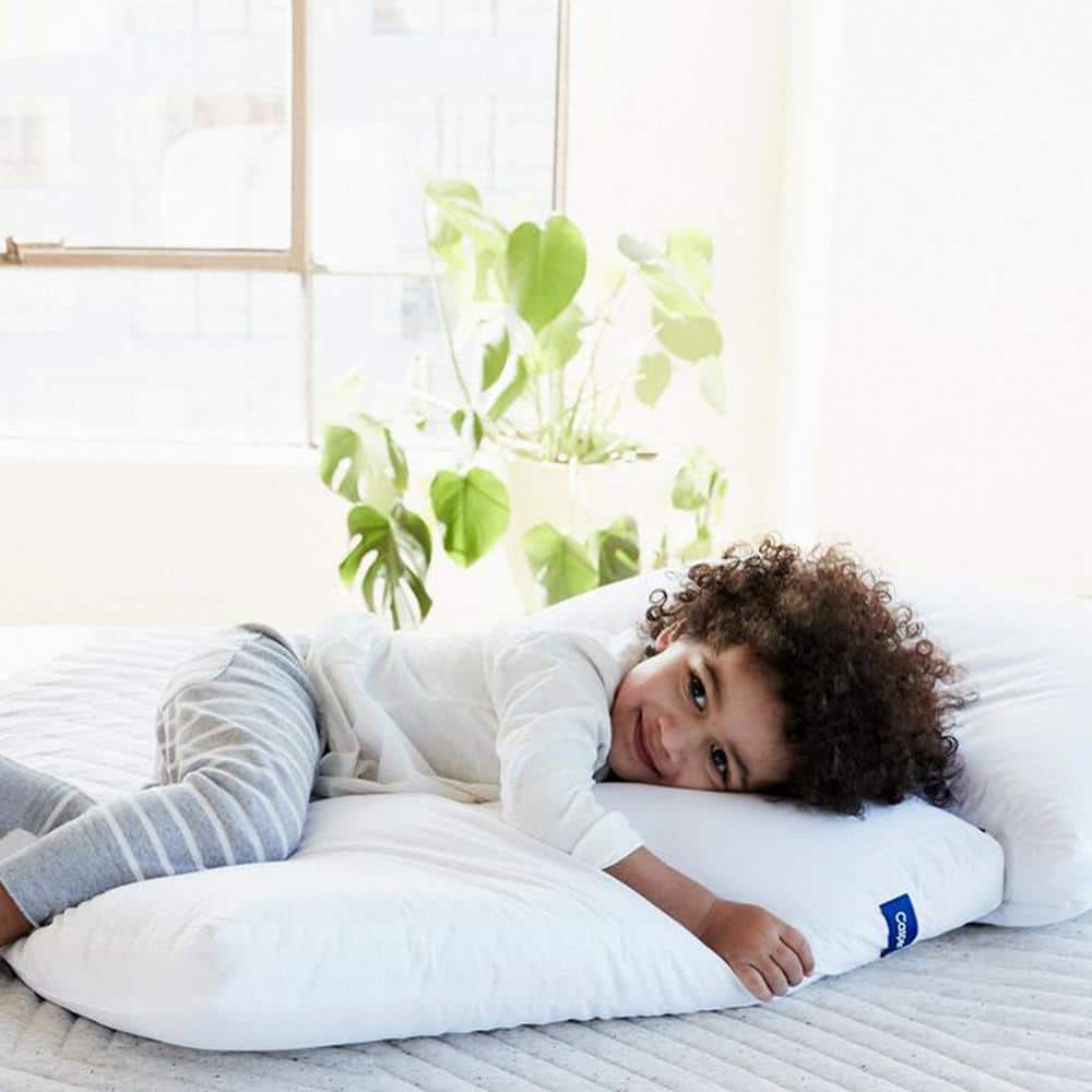 Standard White Polyester Pillow Set, Two Pack