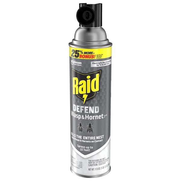 Raid 33 Defend Wasp & Hornet Insect Killer