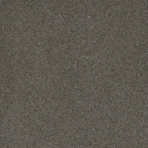 Home Decorators Collection Serene Glory II-Composed Gray-55 oz. SD Polyester Texture Installed Carpet