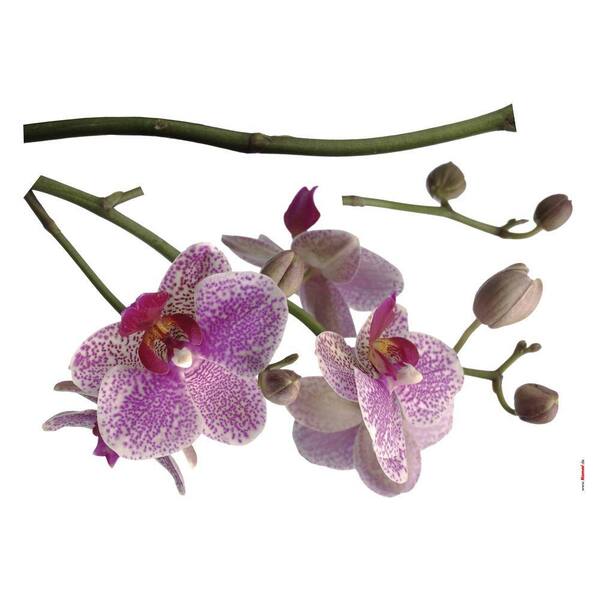 Freestyle 28 in. x 36 in. Orchids Wall Decal