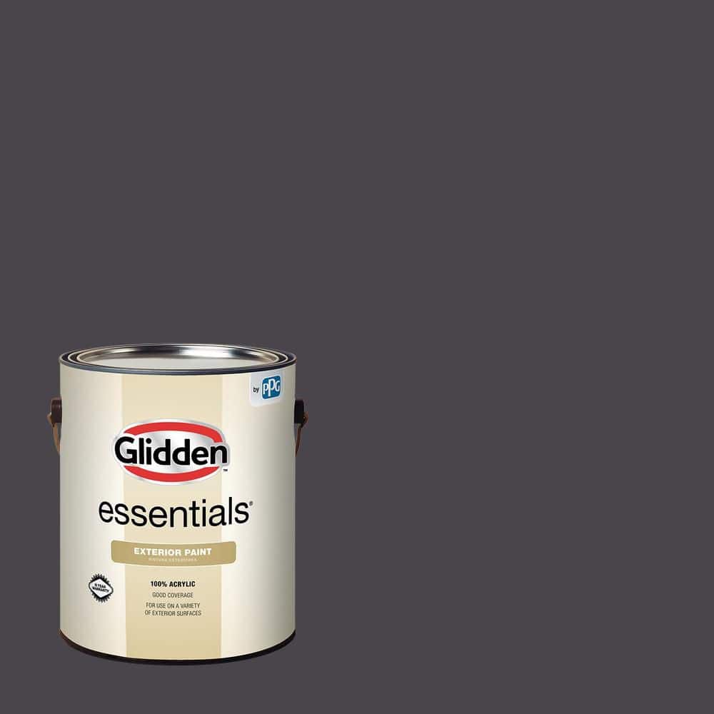1 gal. PPG1003-7 Blackhearth Satin Exterior Paint price history on PriceWatchPro