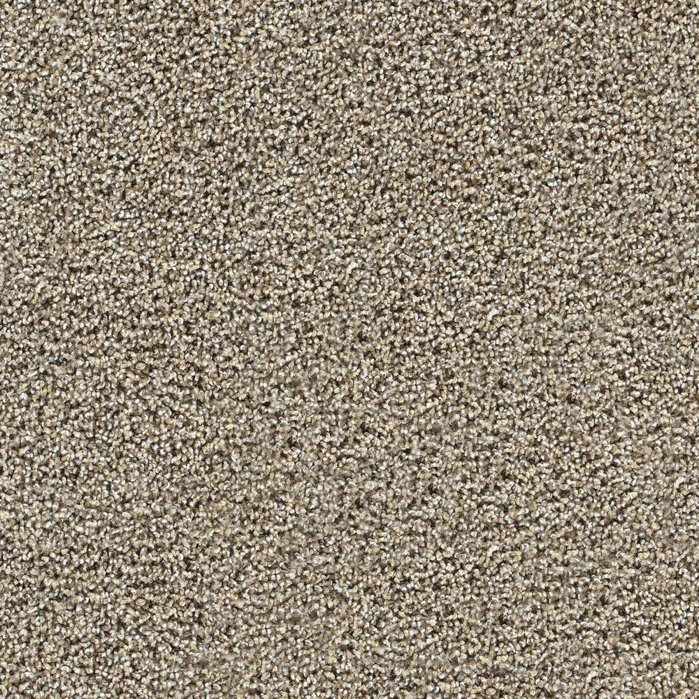 8 in. x 8 in. Texture Carpet Sample-Easel-Color Vivid price history on PriceWatchPro