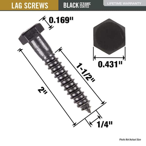 DECKMATE 1/4 in. x 2 in. Black Exterior Hex Head Lag Screw 815096