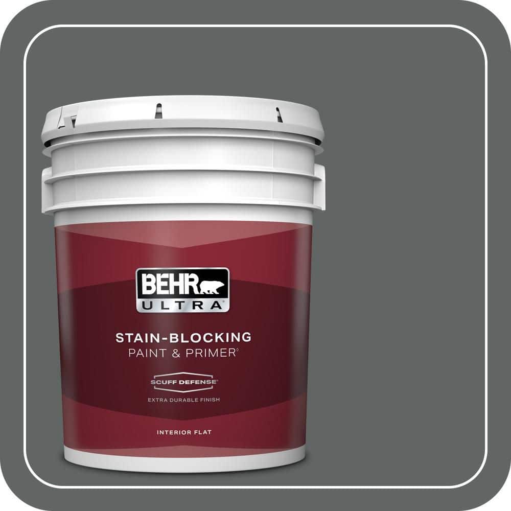 5 gal. Home Decorators Collection #HDC-MD-28 Cordite Extra-Durable Flat Interior Paint & Primer product image for price tracking