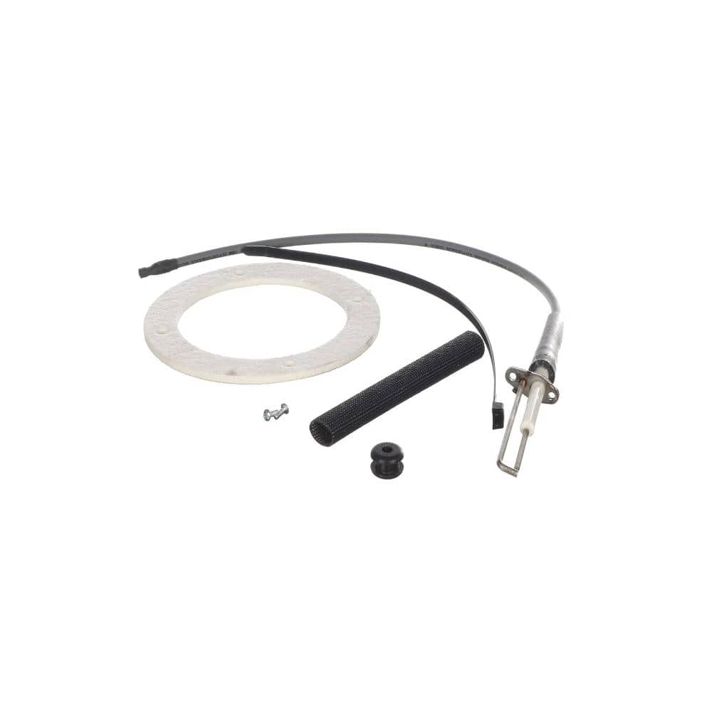 AO Smith Ignition Spark Assembly 100301928 price history on PriceWatchPro