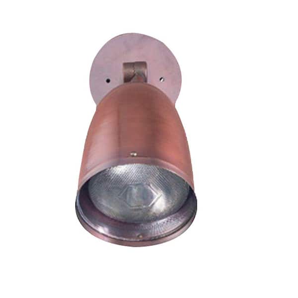 Illumine 12 in. 1-Light Matte Bronze Outdoor Lantern