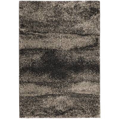Stormy Charcoal 8 ft. x 10 ft. Abstract Area Rug