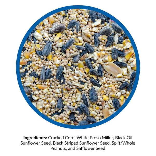 wild bird seed 40 lb home depot