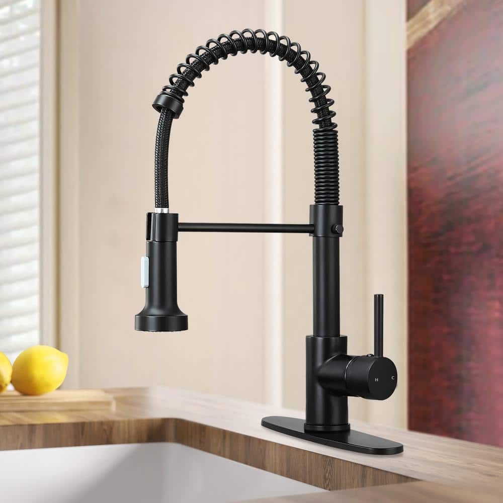 Matte Black Stainless Steel Pull-Down Kitchen Faucet with Spray