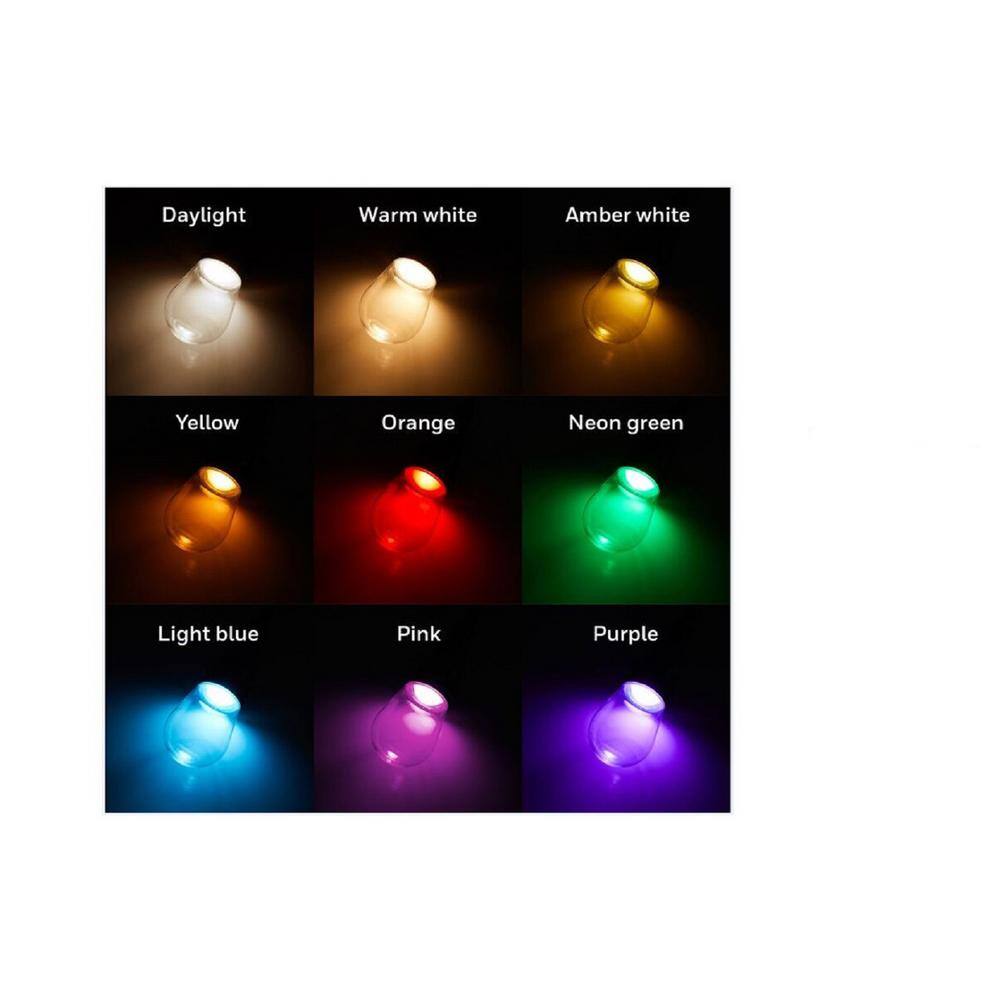 Buy Outdoor/Indoor 48 ft. PlugIn Edison Bulb Color Changing LED String