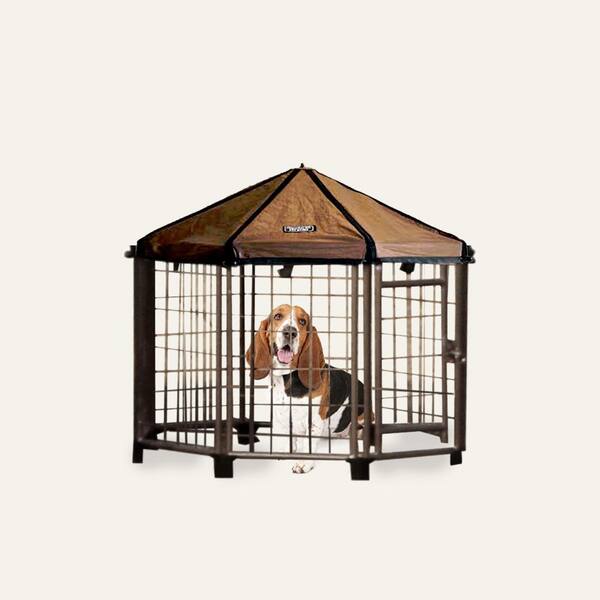 3ft dog crate