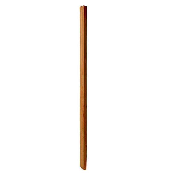 Unbranded 2 in. x 2 in. x 42 in. Pressure-Treated Cedar-Tone Mitered 1-End B1E Baluster (12-Pack)