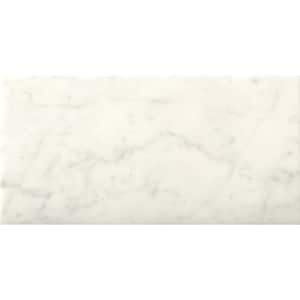 Marble Bianco Gioia 4.02 in. x 7.99 in. Marble Wall Tile (0.22 sq. ft.)