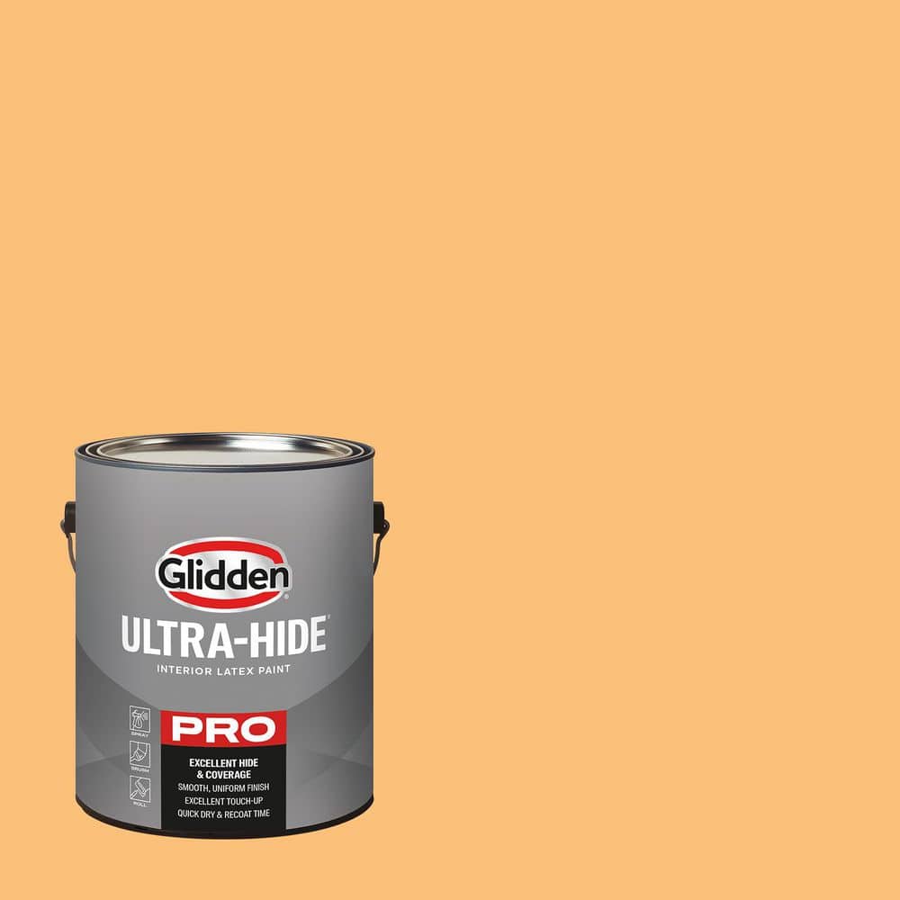 1 Gal. PPG1203-5 Zing Ultra Flat Interior Paint price history on PriceWatchPro