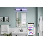 Hampton Bay PENROSE 24 in. SMART Matte Black Perforated LED Vanity