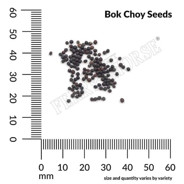 Ferry-Morse Organic Bok Choy Vegetable Seed 8216 - The Home Depot