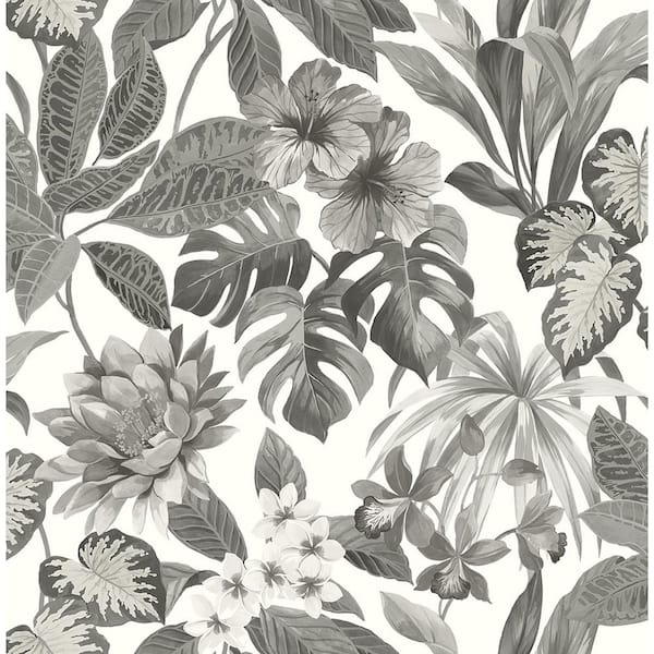 Brewster Josefa Ash Tropical Grey Wallpaper Sample