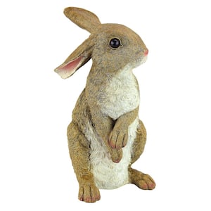 11.5 in. H Hopper the Bunny Standing Garden Rabbit Statue