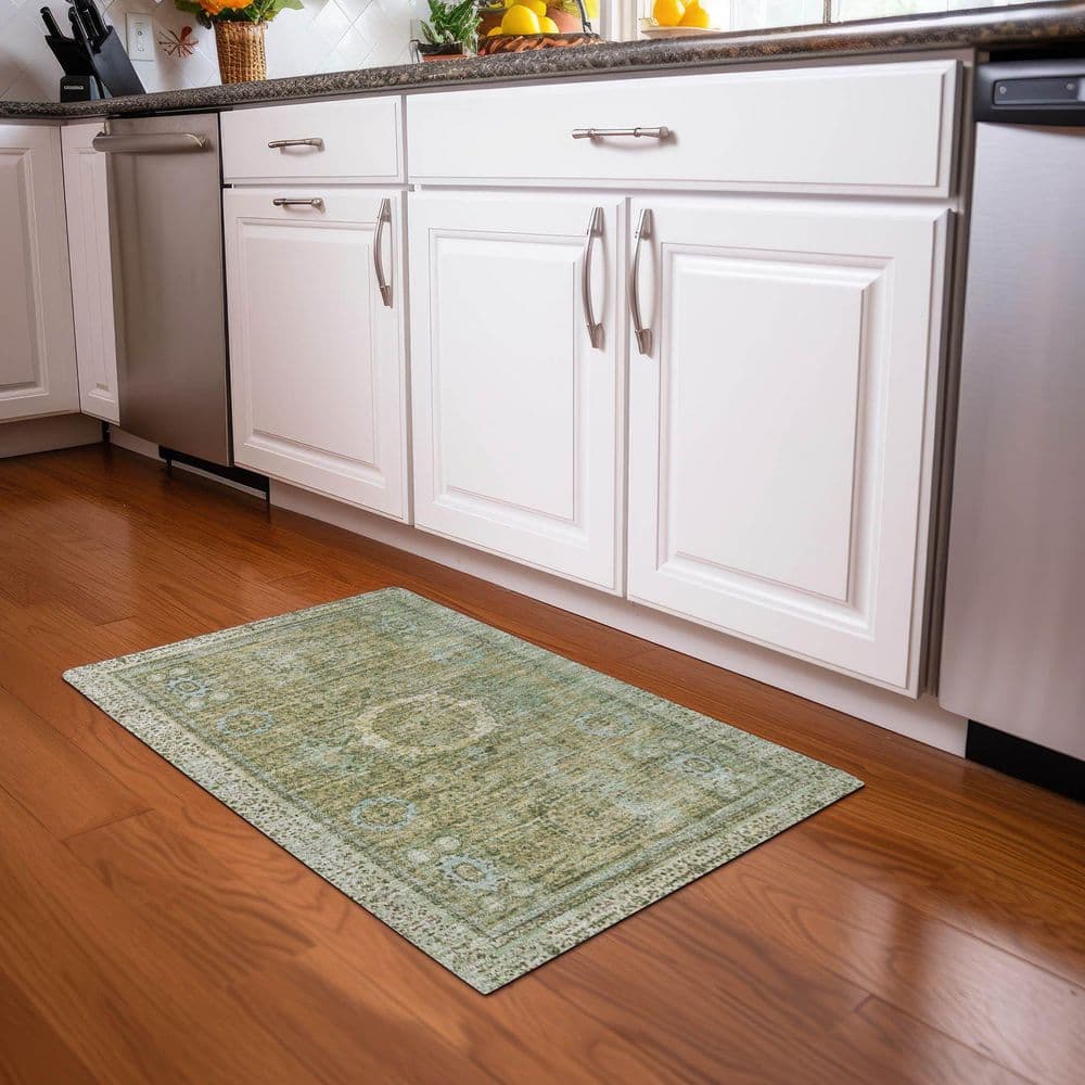 Chantille Machine Washable Indoor/Outdoor Abstract ACN1740 Sage 2 ft. x 3 ft. Accent Rug price history on PriceWatchPro