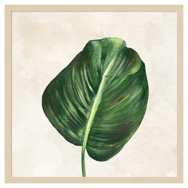 Amanti Art Tropical Leaves I by Lee C 25 in. W x 25 in. H. Wood Framed Wall Art Print Framed in Brown