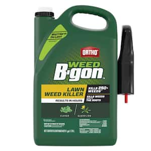 Weed B-gon 1 gal. Lawn Weed Killer Ready-To-Use with Trigger Sprayer