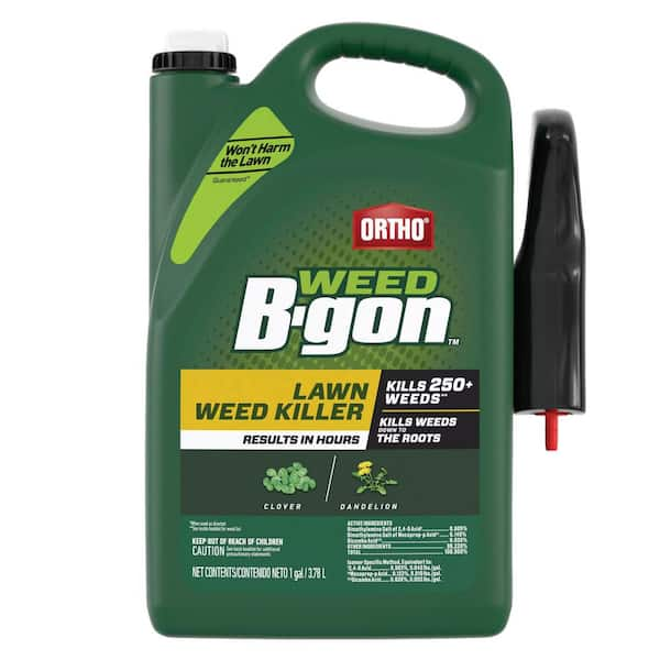 Ortho Weed B-gon 1 Gal. Lawn Weed Killer Ready-To-Use With Trigger ...