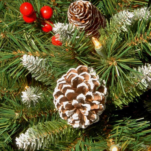 Frosted Berry Assortment Two 4 ft. Entrance Trees with Clear Lights and 24 in. Wreath with Warm White Light