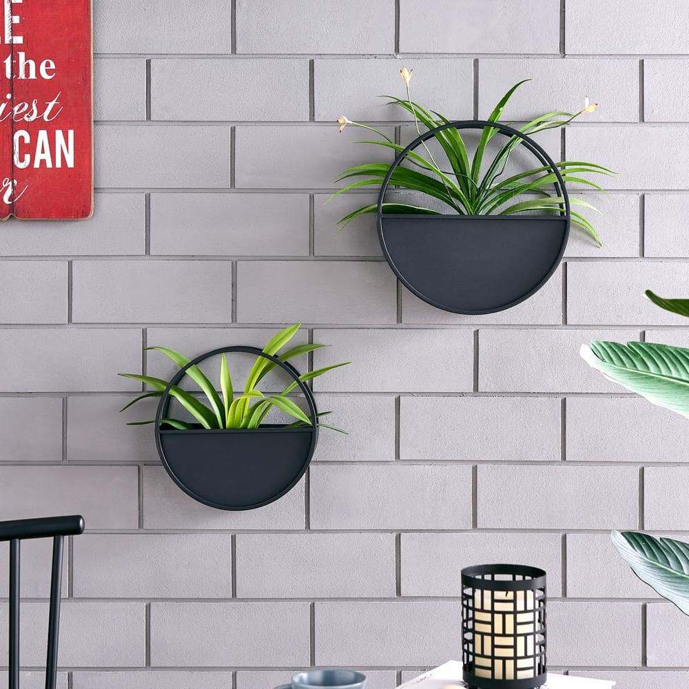 Black Iron Round Wall Planter Set for Indoor Plants