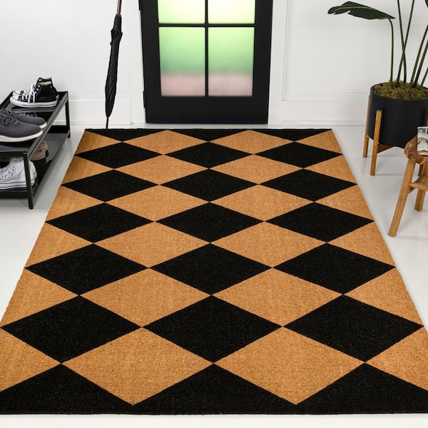 Paige Modern Classic Diamond-Patterned Coir Natural/Black 4 ft. x 6 ft. Indoor/Outdoor Area Rug