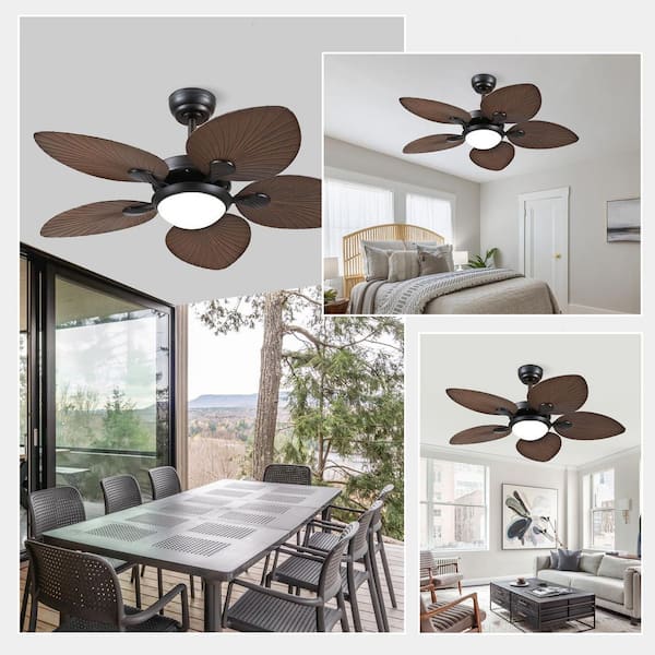 44 in. Indoor/Outdoor Black Retro 5 Palm Leaf Shaped Blades Ceiling Fan with Dimmable LED Light and Remote/APP Control