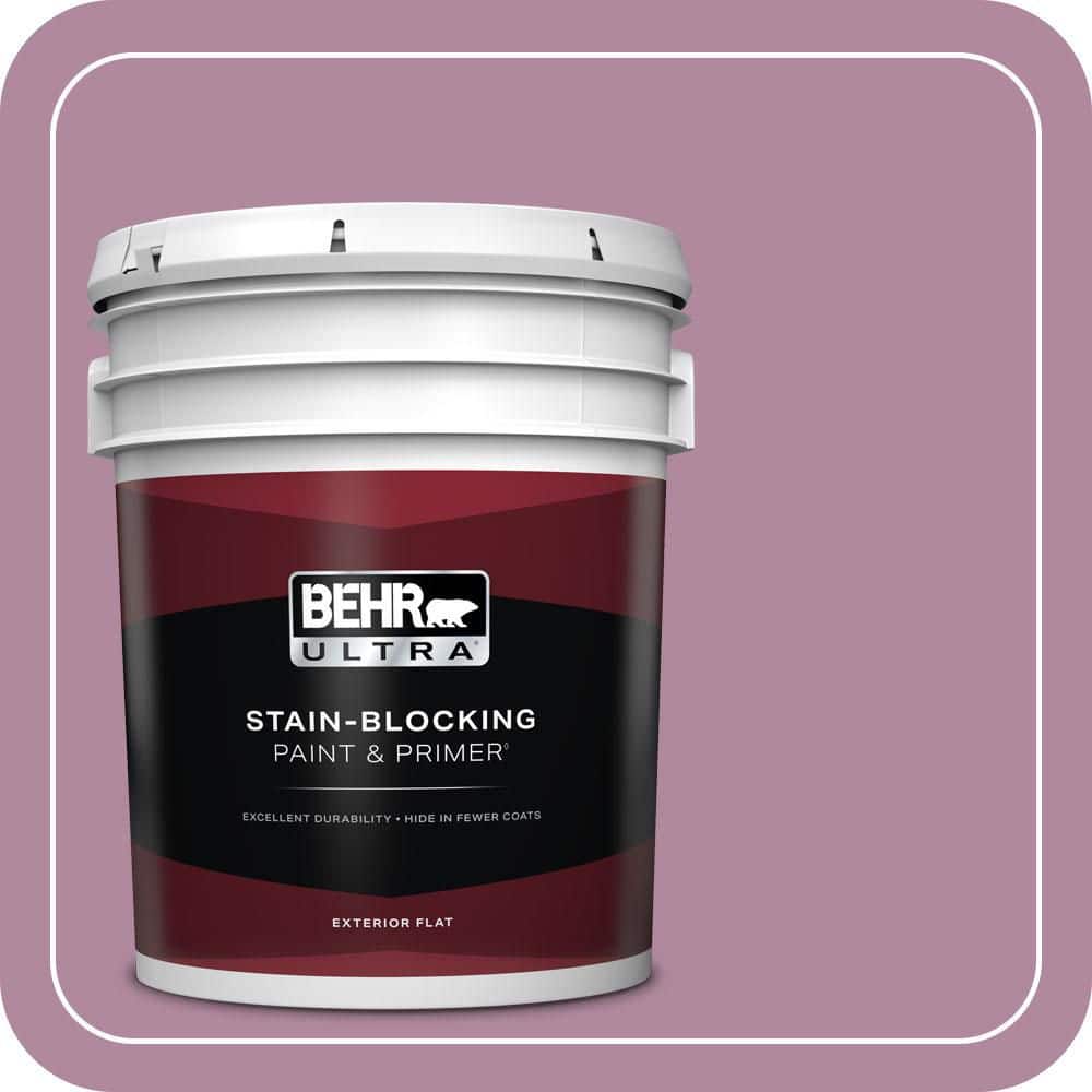 5 gal. #690D-5 Winsome Rose Flat Exterior Paint & Primer price history on PriceWatchPro