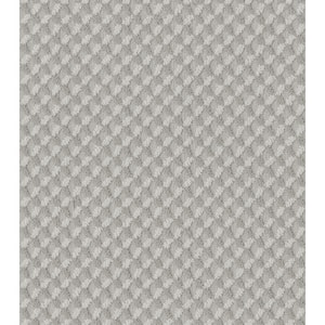 Exquisite - Color Rock Crystal Indoor Pattern Gray Carpet