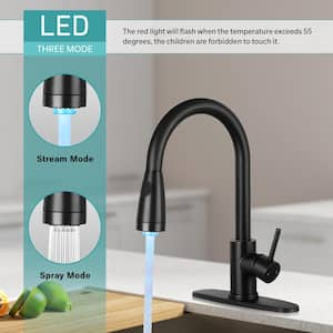 Single Handle Pull Down Sprayer Kitchen Faucet with Pull Out LED Light Sprayer in Black