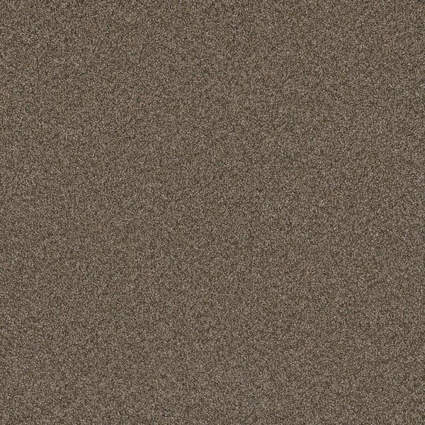 Home Decorators Collection 8 in. x 8 in. Texture Carpet Sample - Trendy Threads Plus I -Color Fremont
