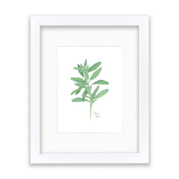 Unbranded Nature's Lace 2 "Sage" by Alyssa Lewis Individual White Framed with Mat Nature Art Print 14 in. x 11 in.