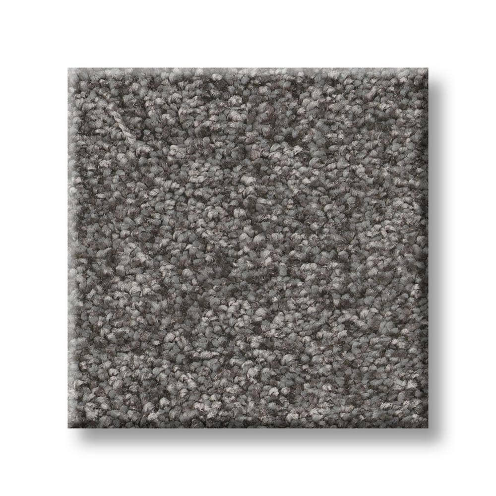 8 in. x 8 in. Texture Carpet Sample - Rosemary III -Color Trout price history on PriceWatchPro