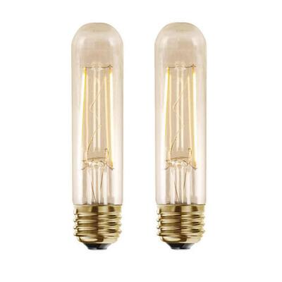 25W Equivalent Amber Light T9 Dimmable LED Filament Light Bulb (2-Pack)
