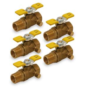 1/2 in. FIP x 1/2 in. FIP x 2 in. Length Brass Expansion Tank Isolator Relief Valve with Drain with T-handle (5-Pack)