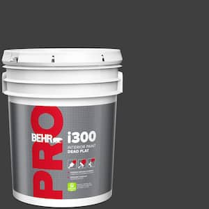 5 gal. #ECC-10-2 Jet Black Dead Flat Interior Paint