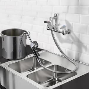 Commercial Wall Mounted Pot Filler Faucet with Advanced Spray in Polished Chrome