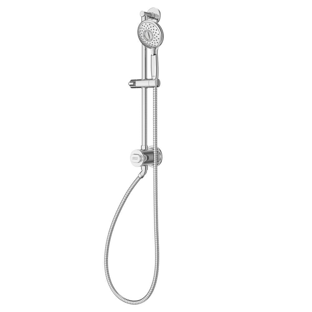 Spectra Chrome Adjustable Handheld Shower System with Filter