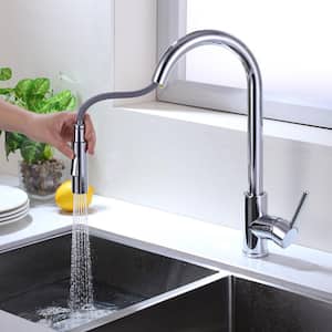 Single Handle Pull Down Sprayer Kitchen Faucet with Advanced Spray, Pull Out Spray Wand in Chrome