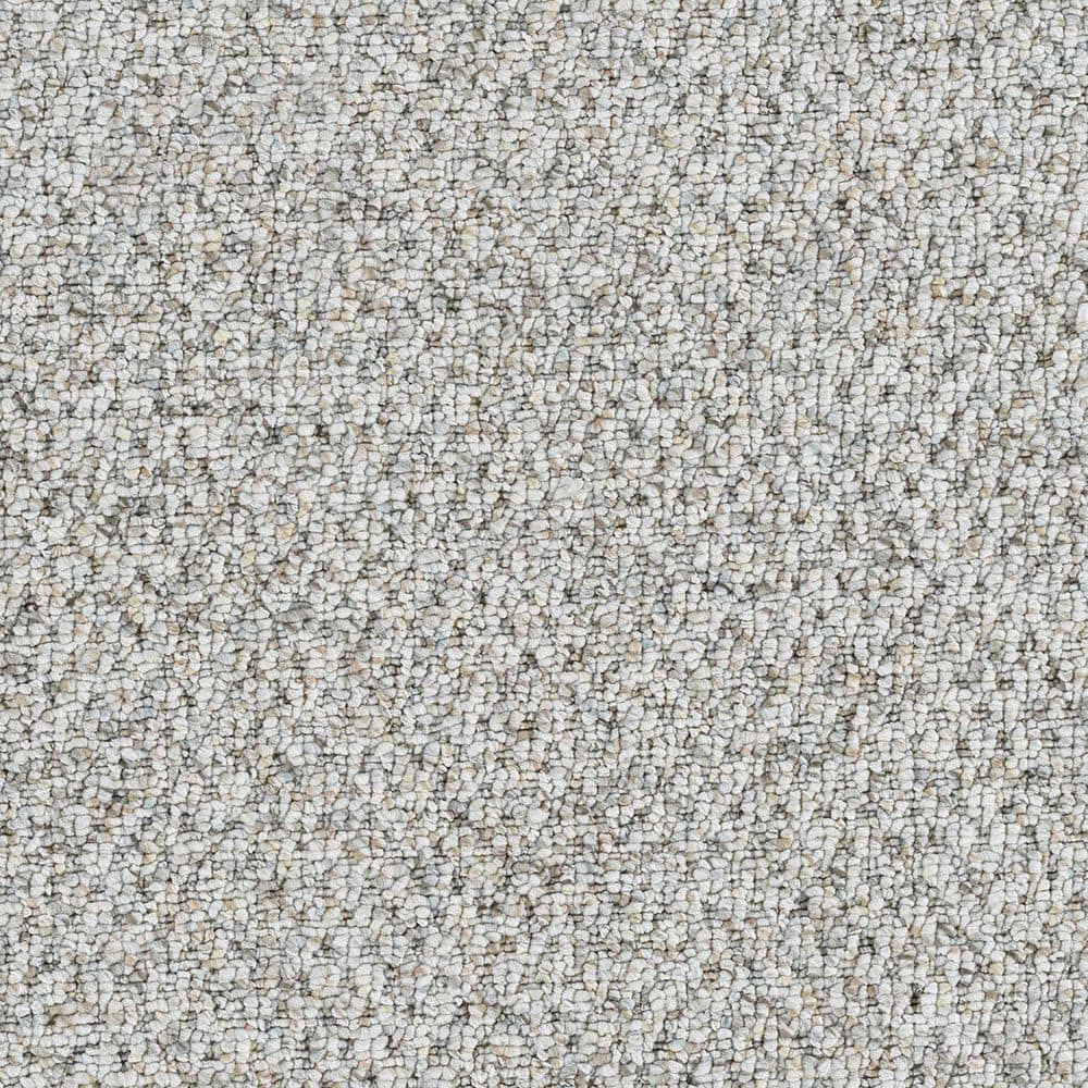 8 in. x 8 in. Loop Carpet Sample - Verse Vibe - Color Lyric price history on PriceWatchPro