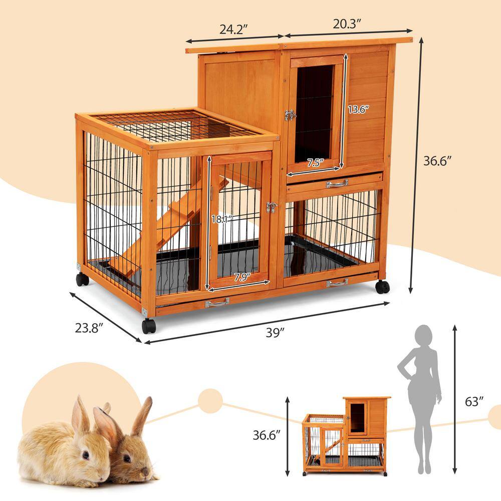 Orange Pine Two-Story Chicken Coop with Asphalt Roof