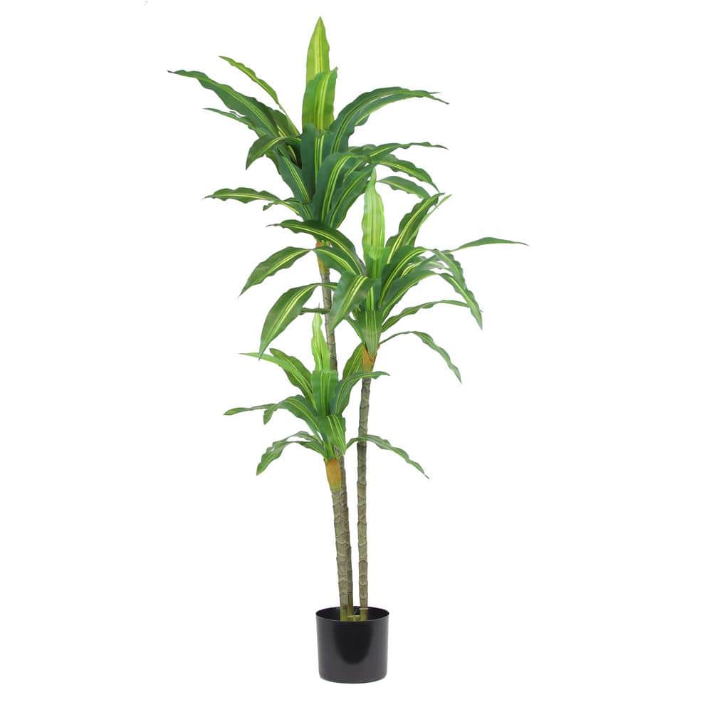 The Mod Greenhouse 48 Artificial Dracaena Plant in Black Matte Planters
