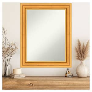 Sierra Gold 23.5 in. x 29.5 in. Non-Beveled Modern Rectangle Wood Framed Wall Mirror