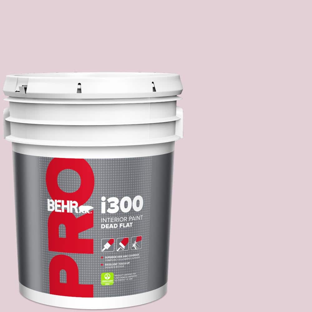 5 gal. #S120-2 Etiquette Dead Flat Interior Paint price history on PriceWatchPro