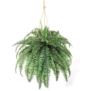 48 in. Boston Fern Plant, 60 Green Fronds - Artificial Silk Greenery for Home Decor