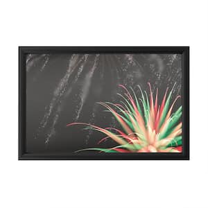 "Abstract Fireworks 2020 13" by Kurt Shaffer Photographs Framed with LED Light Abstract Wall Art 16 in. x 24 in.