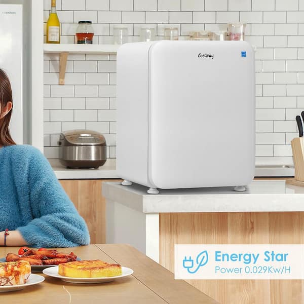 2.4 cu. ft. Compact Refrigerator Auto Defrost Reversible Door Mini Fridge in White without Freezer